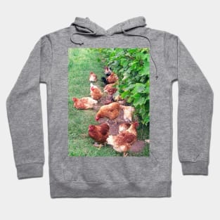 Vineyard With Chickens Hoodie